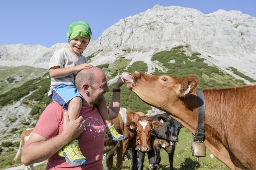 S dětmi do Alp: chaty Alpenvereinu speciálně uzpůsobené pro nejmenší horaly.