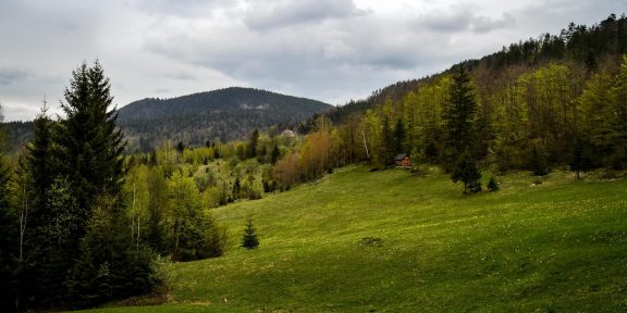 Túra na vyhlídku Kozji rid v NP Tara