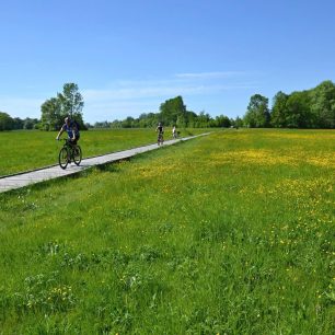 U rybníka Poděbrady poblíž Olomouce, Litovelské Pomoraví