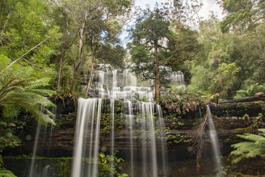 Husté lesy v NP Wilsons Promontory jsou ideální pro turistiku, Austrálie