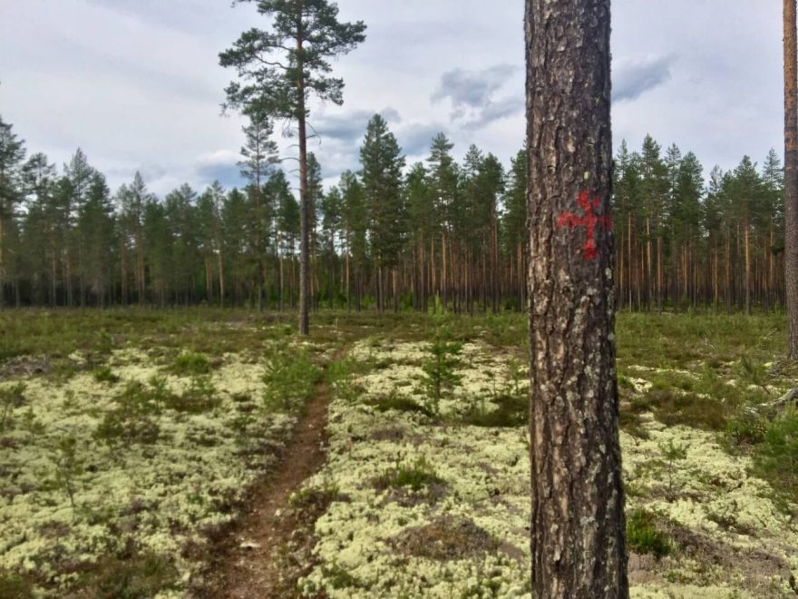 Cesta svatého Olafa z Osla do Trondheimu, Norsko