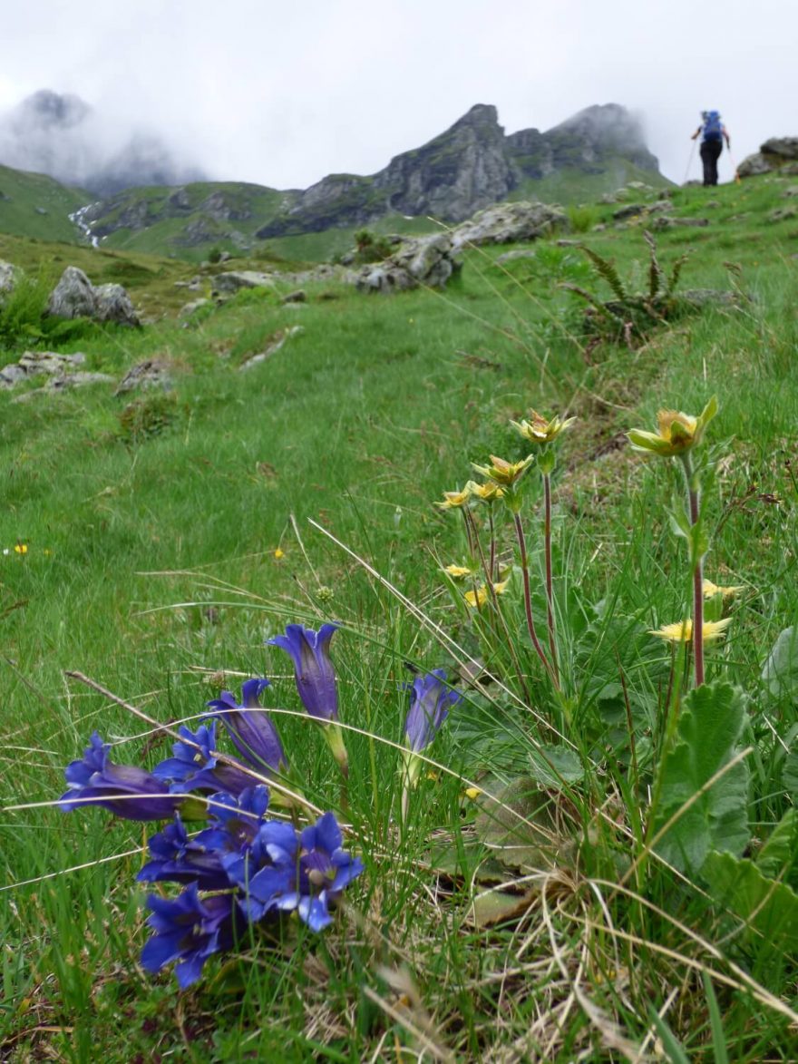 Nad salašemi v dolině Kožnjar, Djeravica, Gjeravica, Prokletije, Kosovo, Balkán