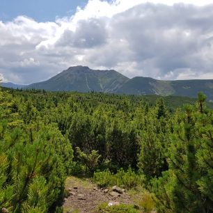 Pietroşul (2100 m.n.m.), nejvyšší vrchol pohoří Călimani