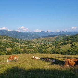 Podhůří Maramureše, Karpaty, RumunskoPodhůří Maramureše, Karpaty, Rumunsko