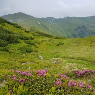 Pohoří Rodna, Karpaty, Rumunsko