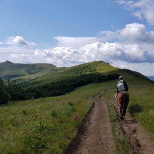 Sběrač borůvek, Bukovska polonina, Karpaty, Ukrajina