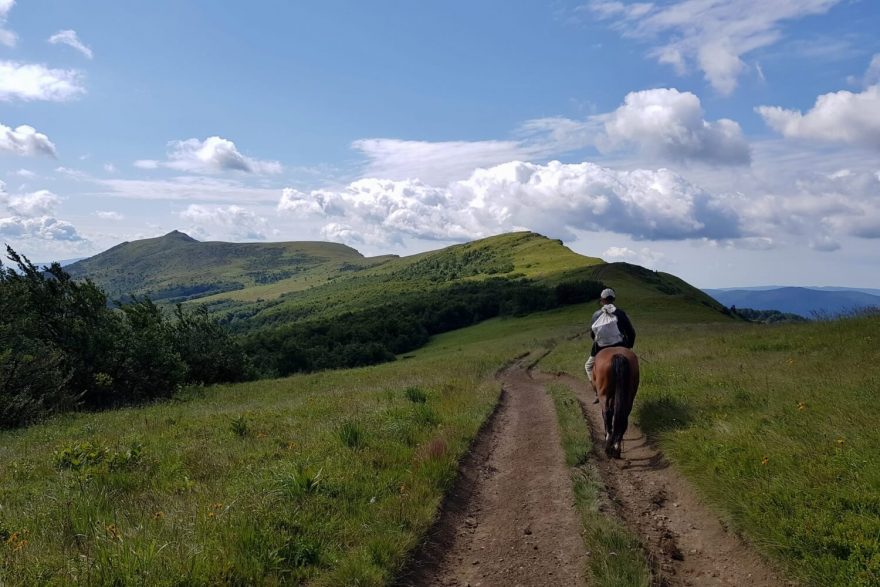 Sběrač borůvek, Bukovska polonina, Karpaty, Ukrajina