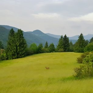 Výhled na vrchol Klak (1352) v pohoří Malá Fatra