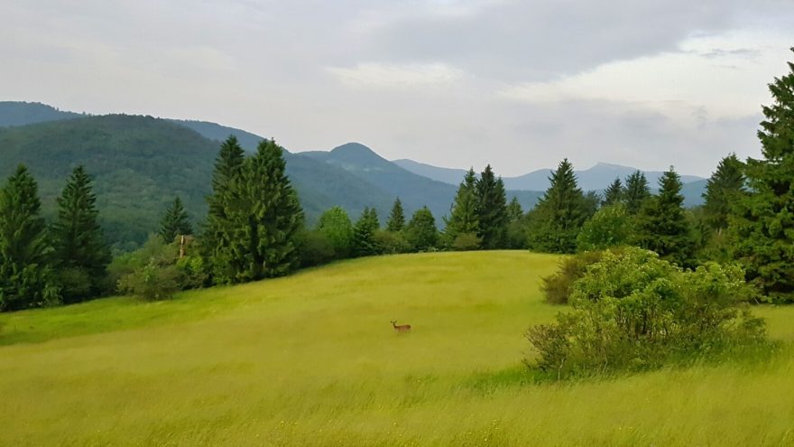 Výhled na vrchol Klak (1352) v pohoří Malá Fatra