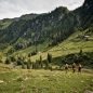 Stýská se vám po horách? Skvělou destinací pro Vás bude Saalbach-Hinterglemm