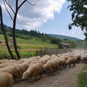 Vesnice Ciobăniş, Rumunsko