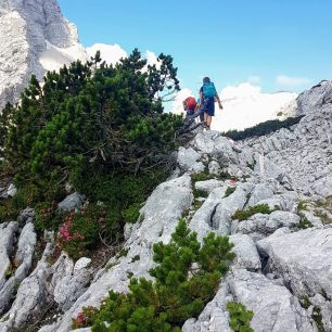 Totes Gebirge, Rakousko, Alpy