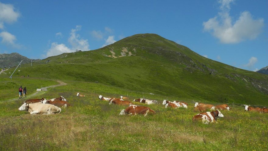 Isskogel, Kitzbühelské Alpy