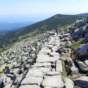 Úbočí Vysokého kola a cesta po kamenných kvádrech, Krkonoše