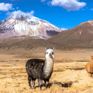 Národní park Sajama v Bolívii