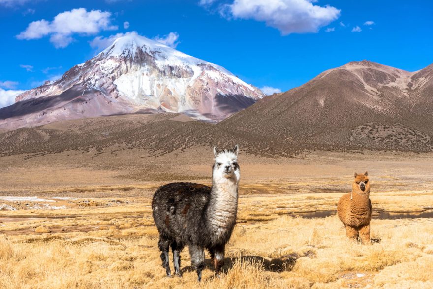 Národní park Sajama v Bolívii