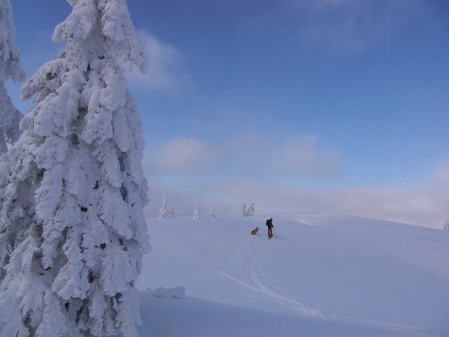 Výstup na vrchol Grasberg na skialpech