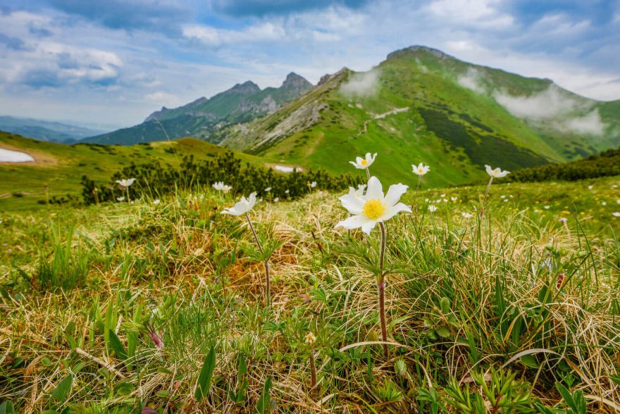 Uzávěrka turistických chodníků ve Vysokých Tatrách končí 15. června, kdy se příroda právě probouzí k životu.