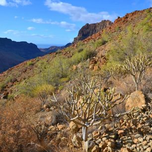 Stoupáme na hřebeny nad Maspalomas, Gran Canaria