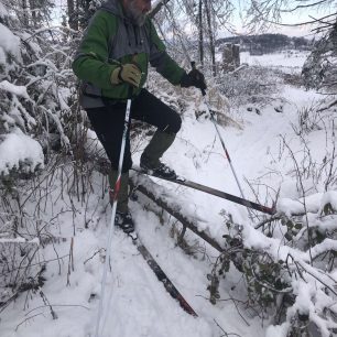 Překážek v lesích může být hodně, ale pro tyhle běžky to není problém