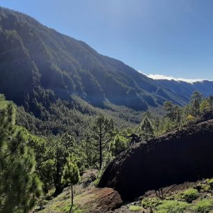 Pohled na horský hřeben Cumbre Nueva ze sedla Cumbrecita, La Palma, Kanárské ostrovy.