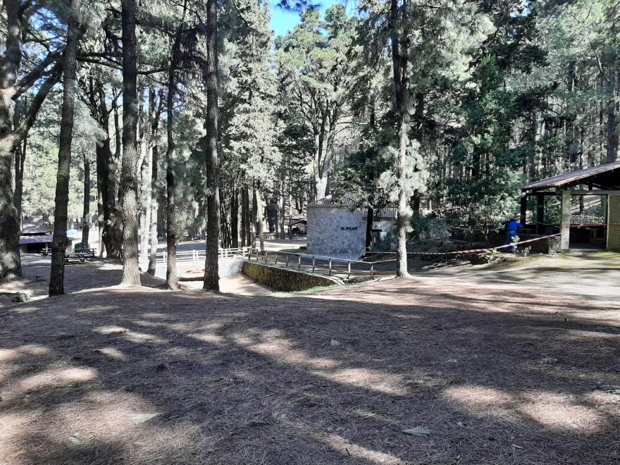 Refugio Pilar leží v příjemném stínu borovic. La Palma