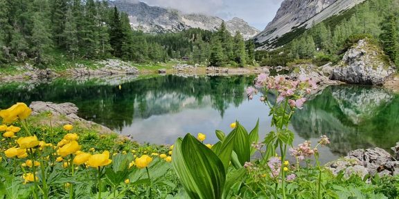 Trek dolinou Triglavských jezer