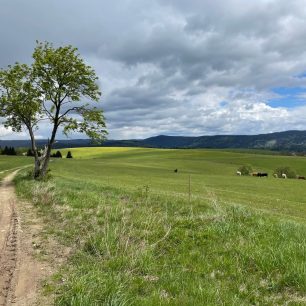 Den 2 - nad Kraslicemi. Přeběh Severní stezky podél severní hranice ČR