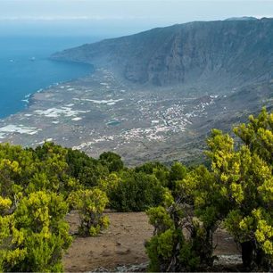 Sopečná krajina se mísí se zelenými stromy. El Hierro, Kanárské ostrovy