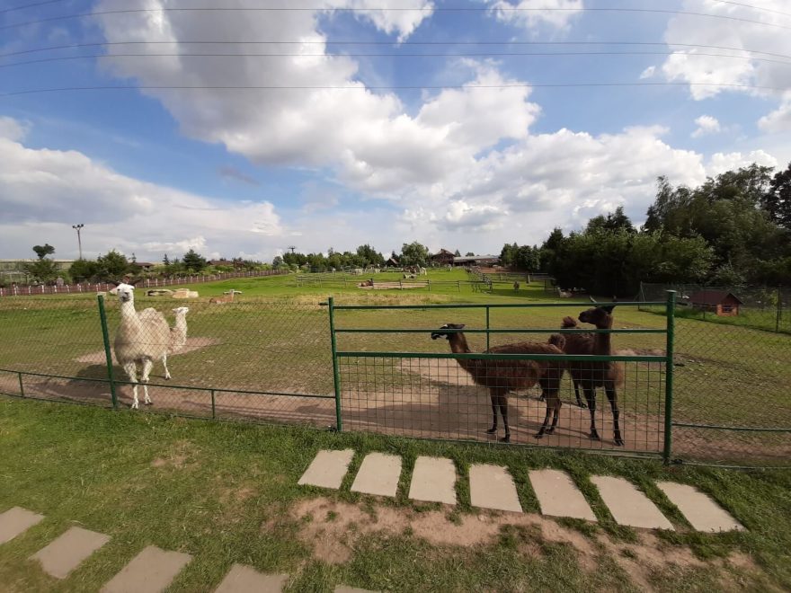 Farma Wenet, zookoutek, Broumov