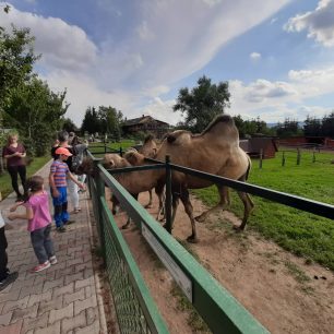 Farma Wenet, zookoutek, Broumov