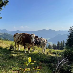 Při sestupu - Intersport Donnerkogel Klettersteig, Gosausee, Solná komora, Salzkammergut, rakouské Alpy. Foto Jana Souralová