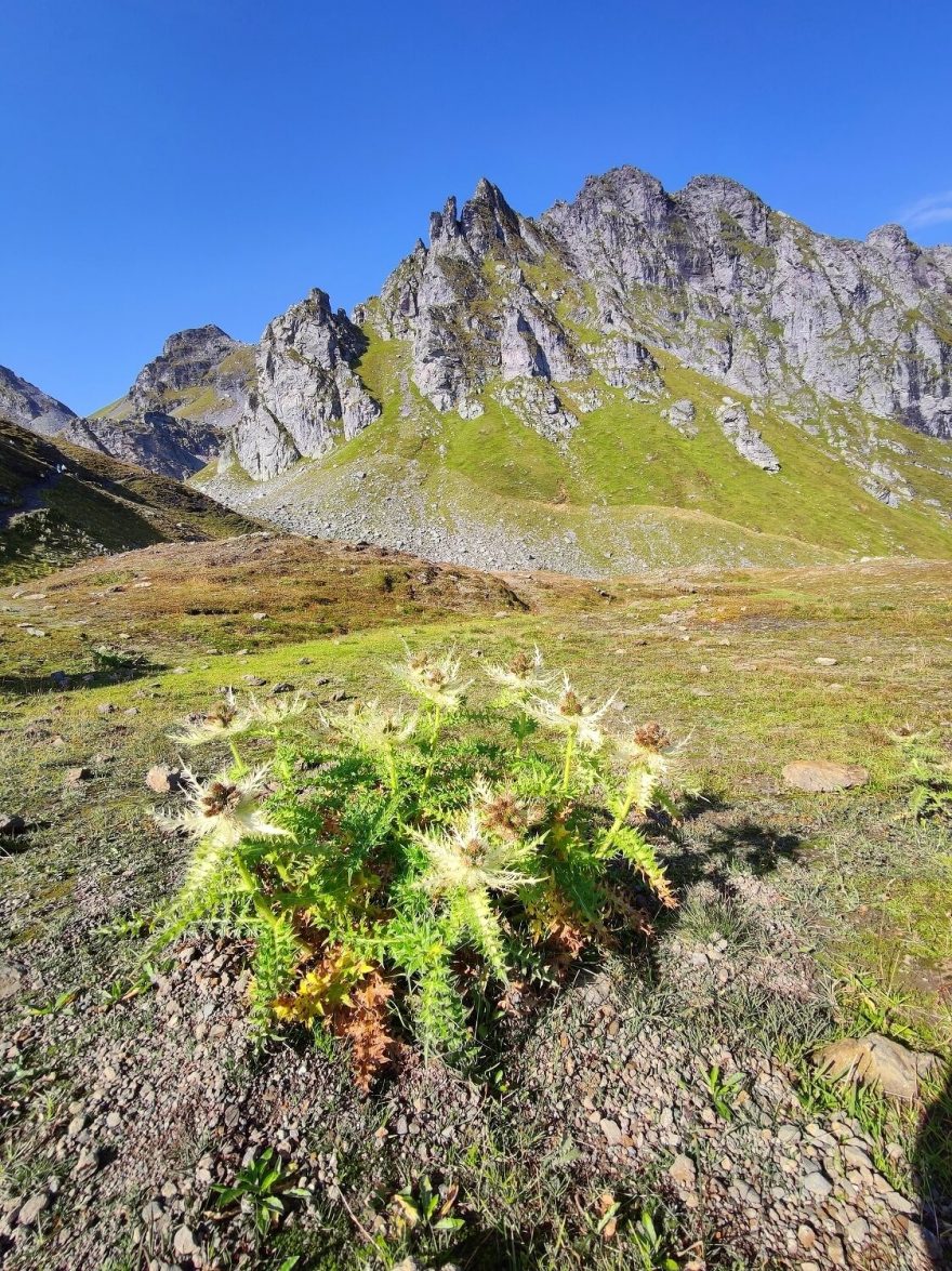 Okruh kolem 5 jezer na svazích hory Pizol, 5-Seen-Wanderung, švýcarské Alpy