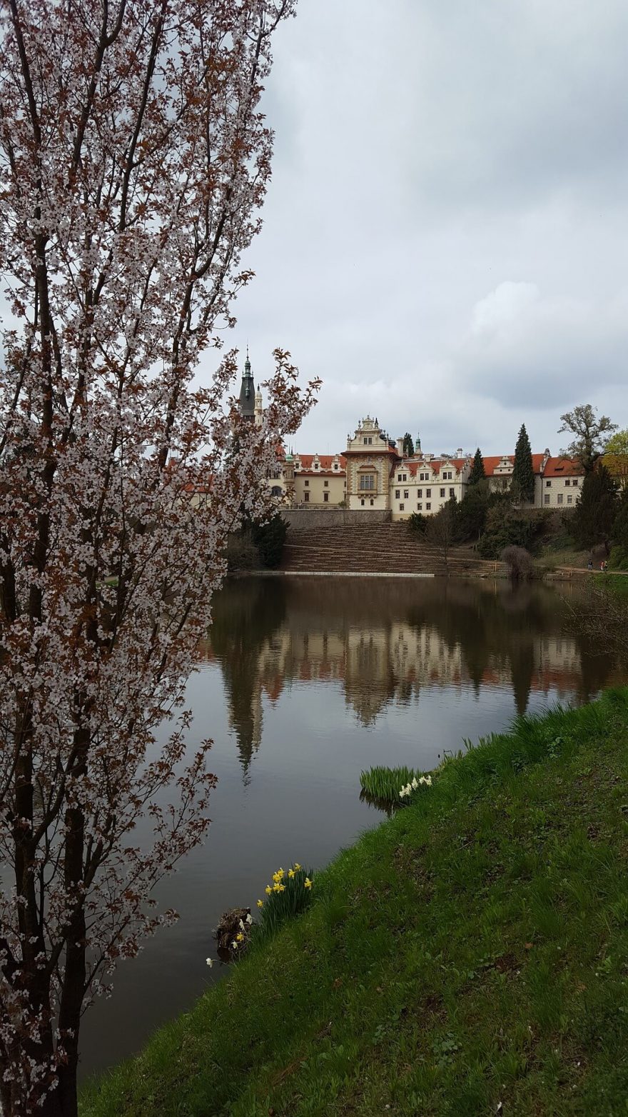 Park v Průhonicích. Praha.