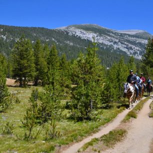 Lyell Canyon, Yosemite NP, USA