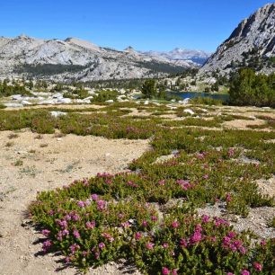 Panorama Yosemit v sedle Vogelsang Pass. Yosemite NP, USA