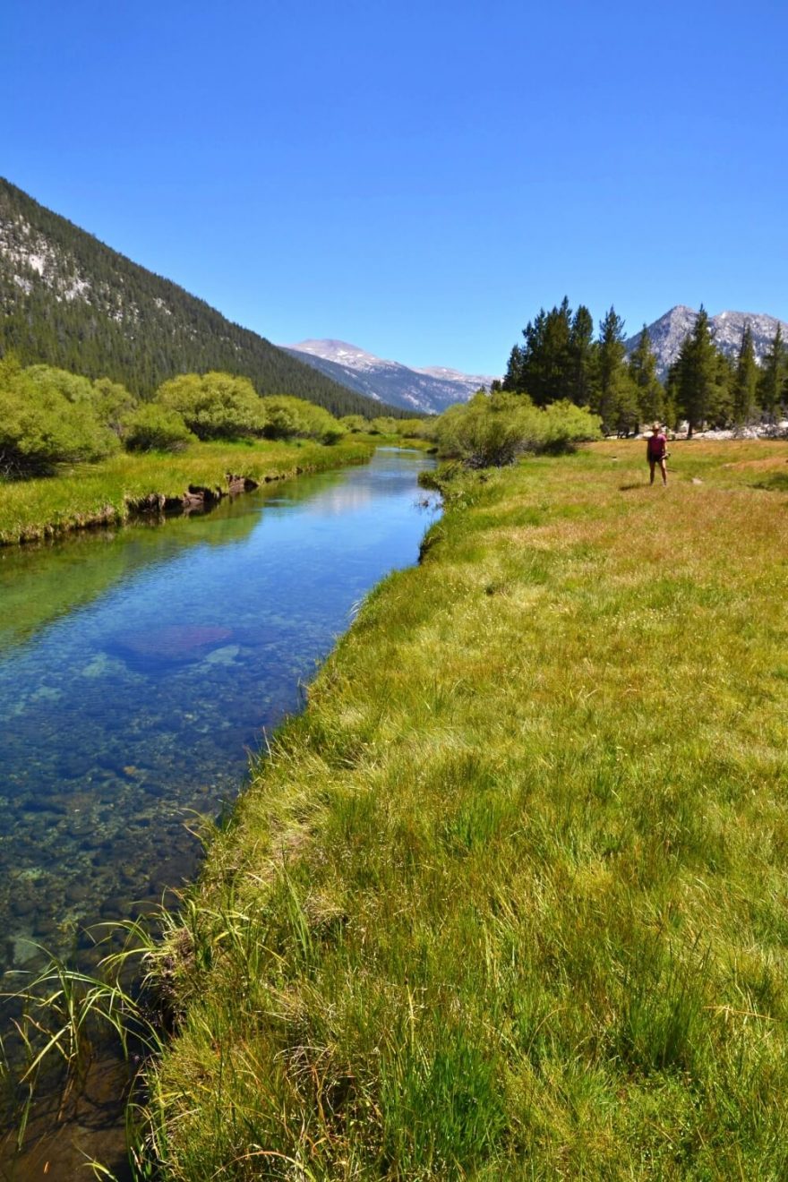 Říčka Lyell Fork. Údolí Lyell Canyon, Yosemite NP, USA