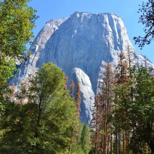 Skalní monolit El Capitan. Yosemite Valley, Kalifornie, USA