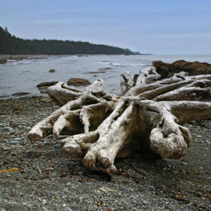 West Coast Trail, trek na ostrově Vancouver, Kanada