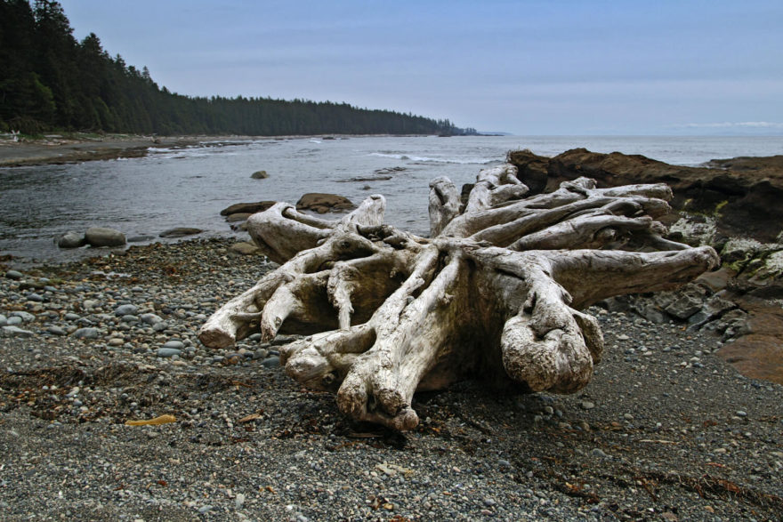 West Coast Trail, trek na ostrově Vancouver, Kanada