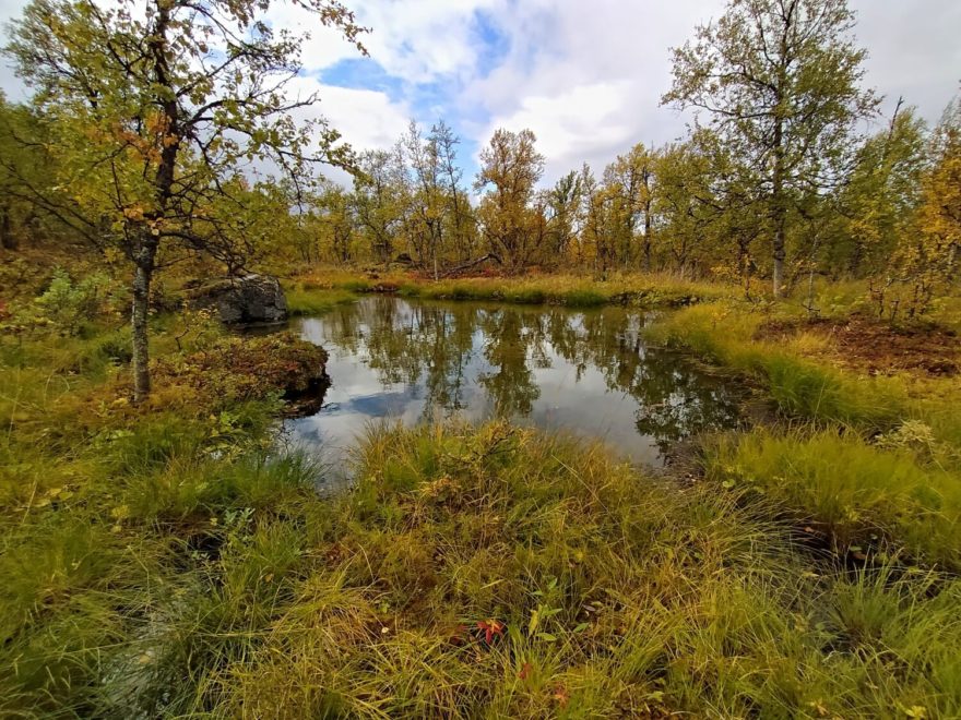 Mokřady a bažiny, Kungsleden, Laponsko, Švédsko