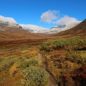 Kungsleden (Královská stezka): divočinou švédského Laponska