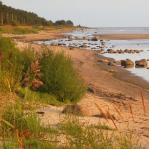 Úsek po zarostlých plážích mezi městečky Svētciems a Ainaži v Lotyšsku nedaleko estonských hranic. Baltic Coastal Hiking Route