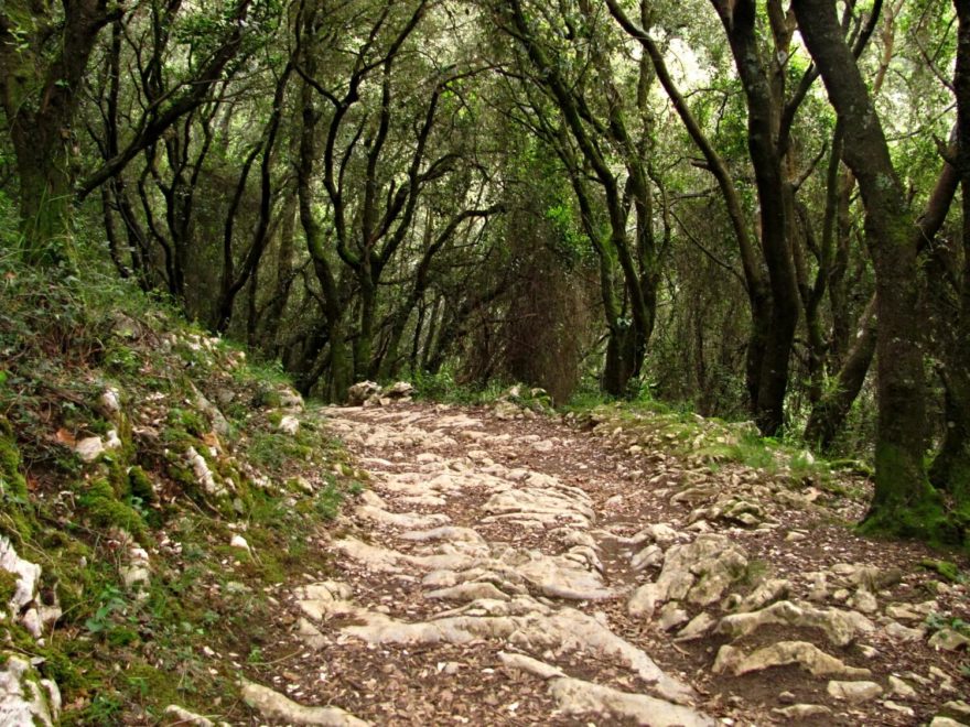 Camino de Santiago, Svatojakubská cesta, Španělsko.