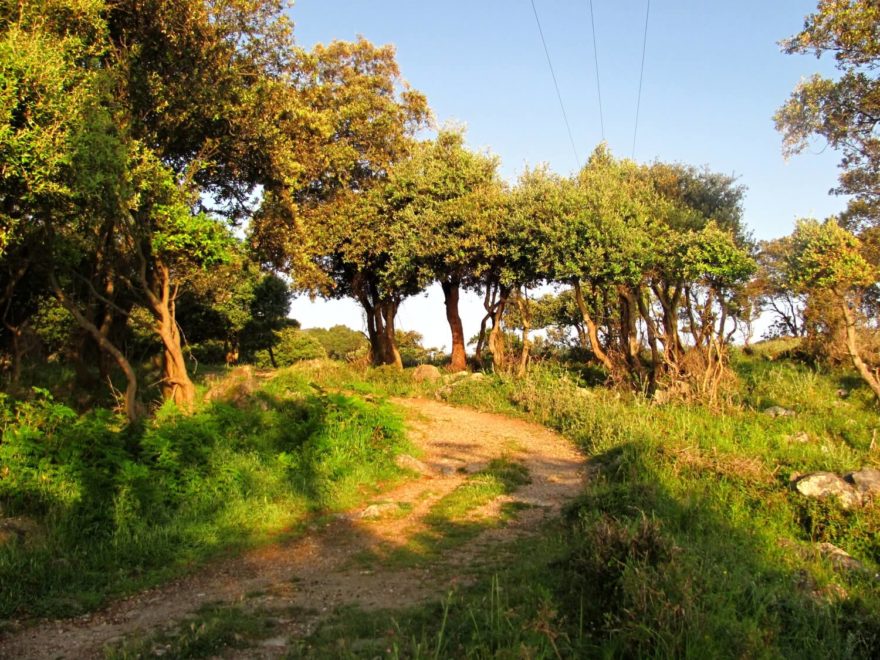 Camino de Santiago, Svatojakubská cesta, Španělsko.