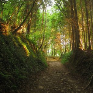 Camino de Santiago, Svatojakubská cesta, Španělsko.