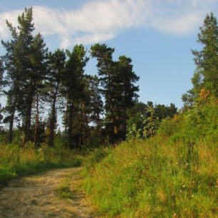 Camino de Santiago, Svatojakubská cesta, Španělsko.