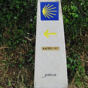 Mušle je tradičním označením Svatojakubské cesty, Camino de Santiago.