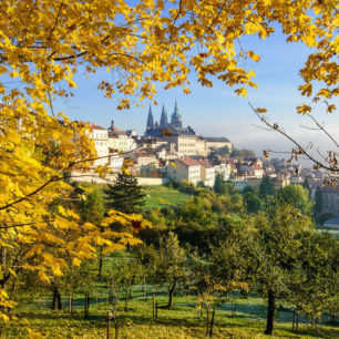 Pražský hrad z Petřínských zahrad, Stezka středozemím, Via Czechia