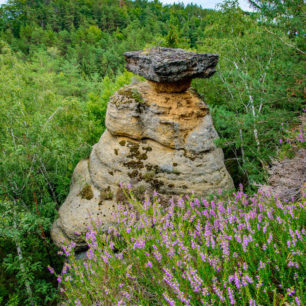 Máchův kraj - Kokořínsko, Stezka středozemím, Via Czechia